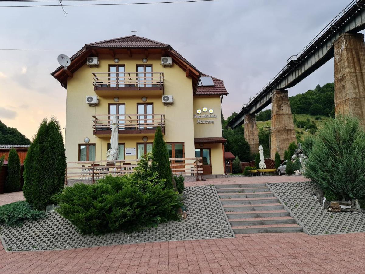 Pensiunea Narcisa Romuli Екстериор снимка